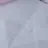 장규진