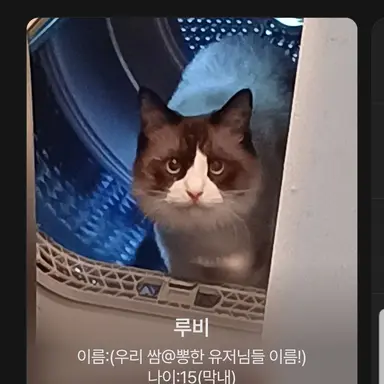 Profile image of 마음대로