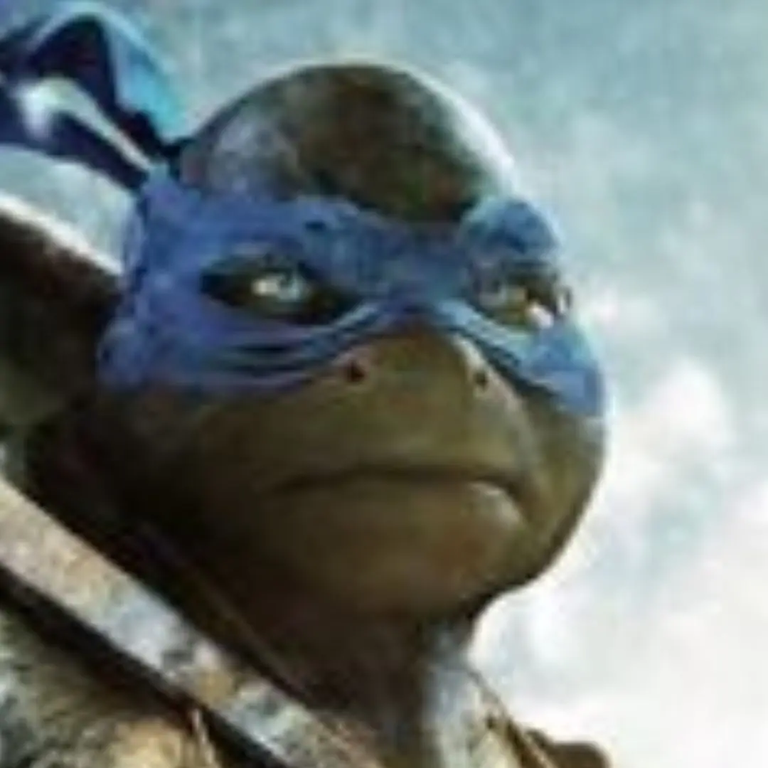 RoundOtter6861의 TMNT