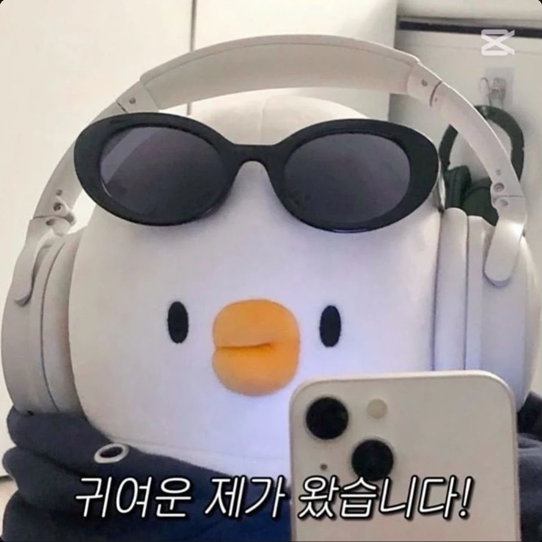 모양몬