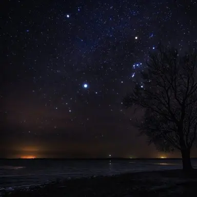 Profile image of 각 경사