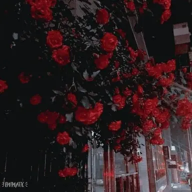 Profile image of 라 경장