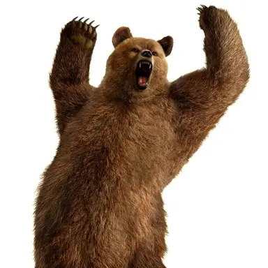 Profile image of 곱창곰