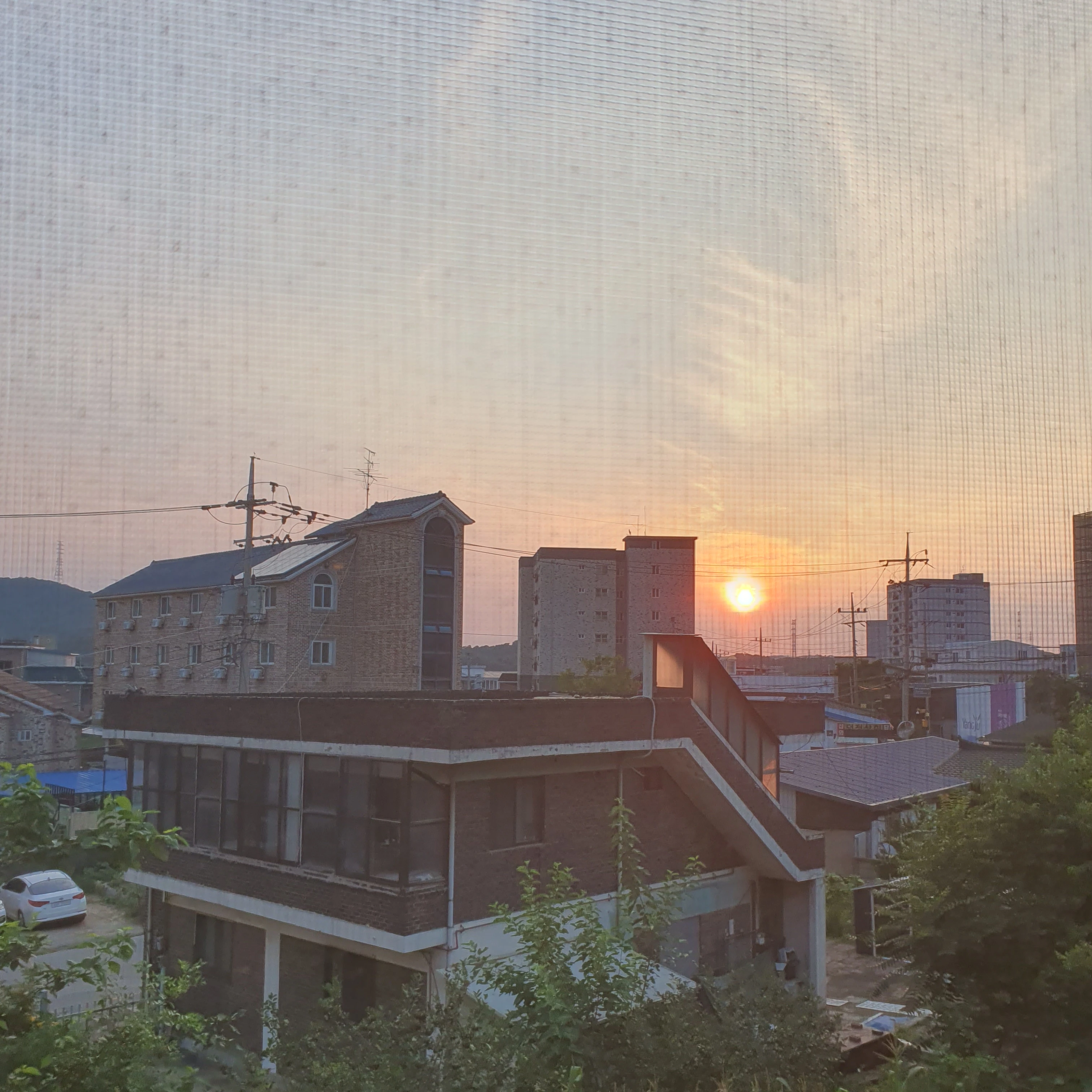 레볼루션