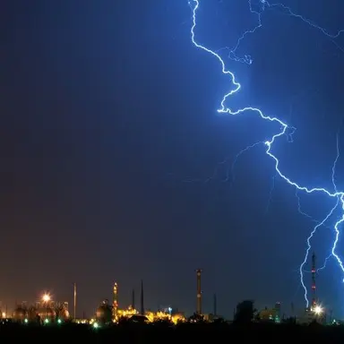 Profile image of 코요