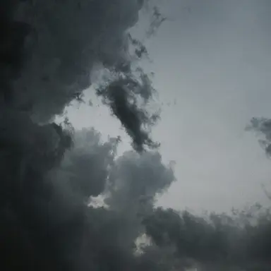 Profile image of 스코시즘