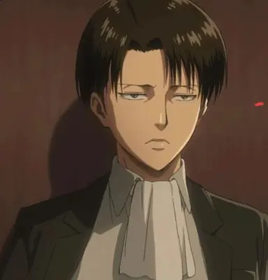 Profile image of Captain levi