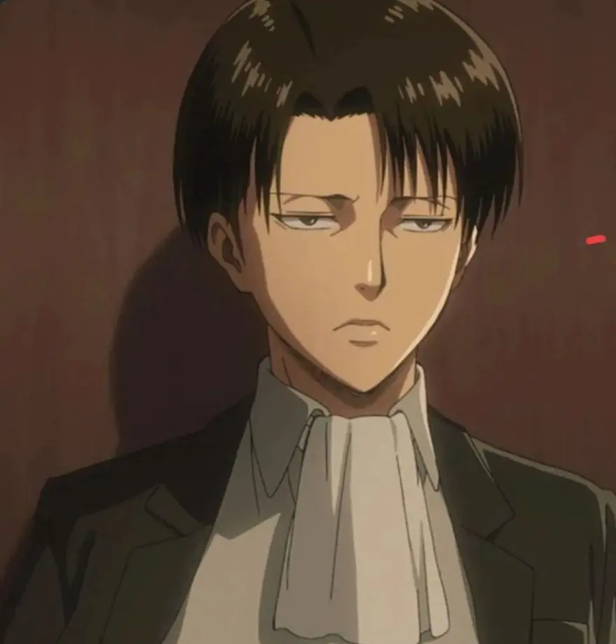 Its_suzy...의 Captain levi
