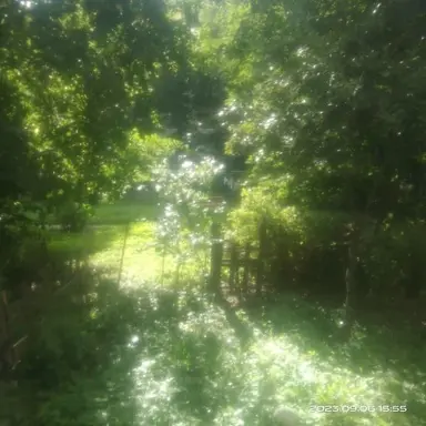 Profile image of 연시은