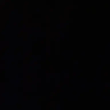 Profile image of ミホーク