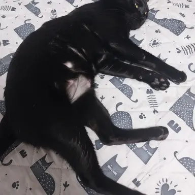 Profile image of 엔데버