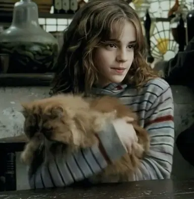 Profile image of Hermione Granger