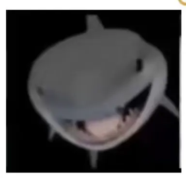 Profile image of 상어