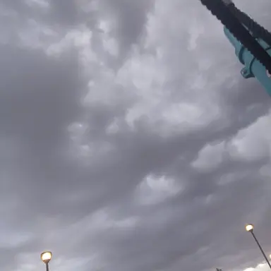 Profile image of The wind
