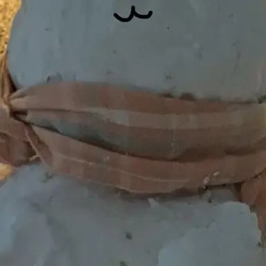 Profile image of 베리