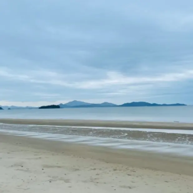 likeoceanfish의 사이보그 의사인데 싸가지가...