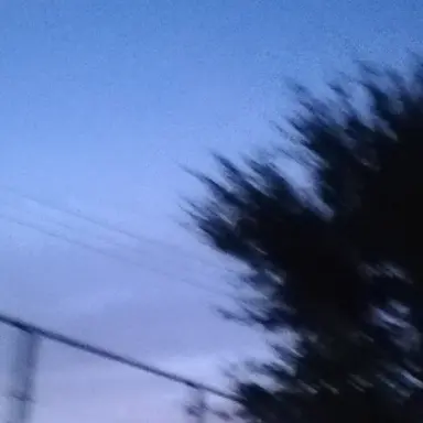 Profile image of WEST.