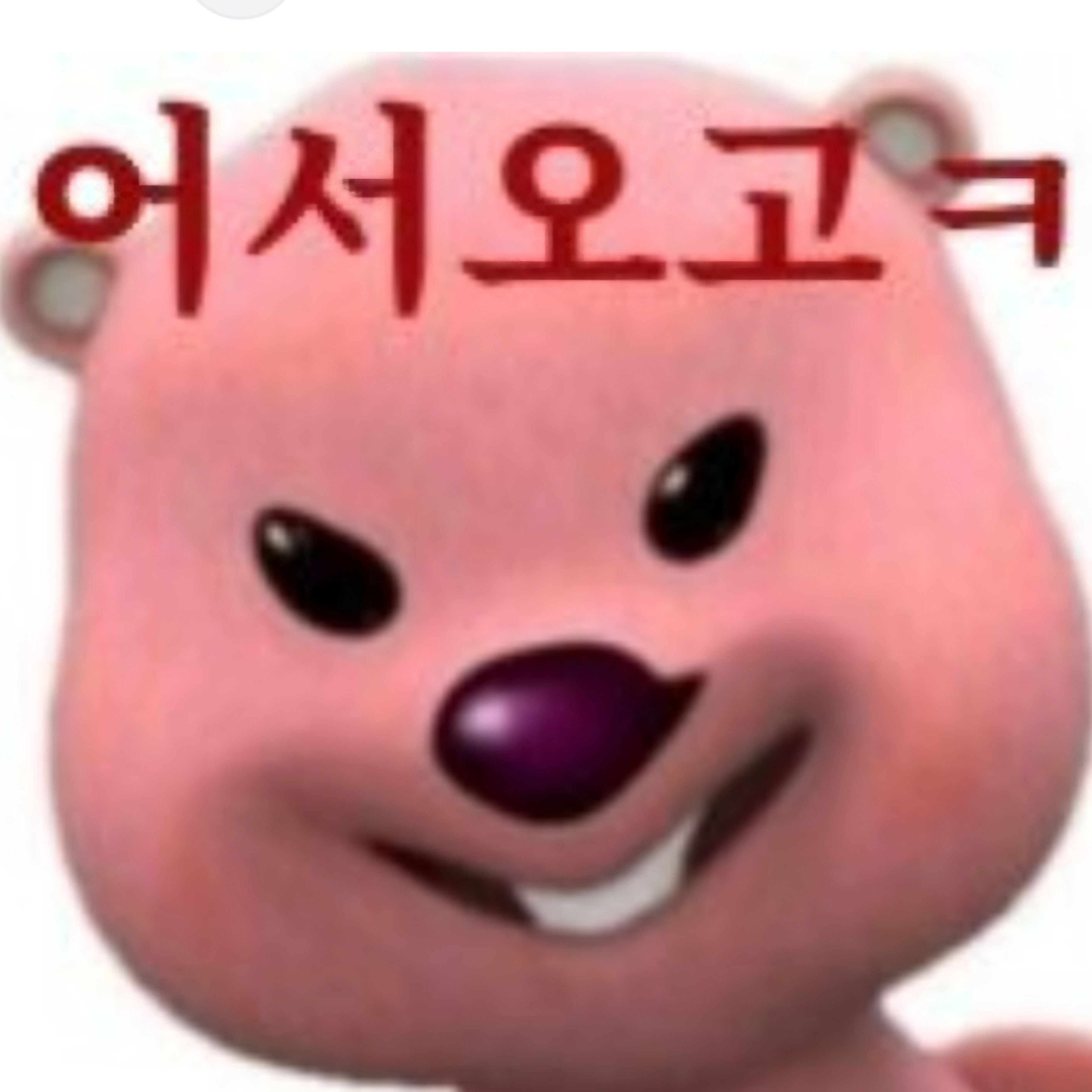 엔믹스 대표 이미지