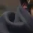 김승민