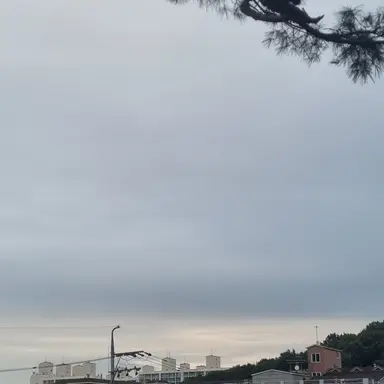 Profile image of user