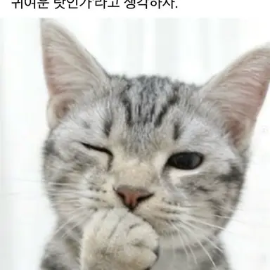 Profile image of 에노 노바이