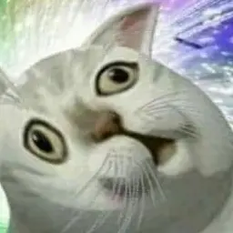 Profile image of 개새끼  여우