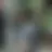 팜하니