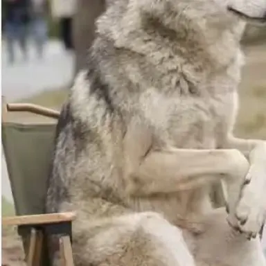Profile image of 늑대