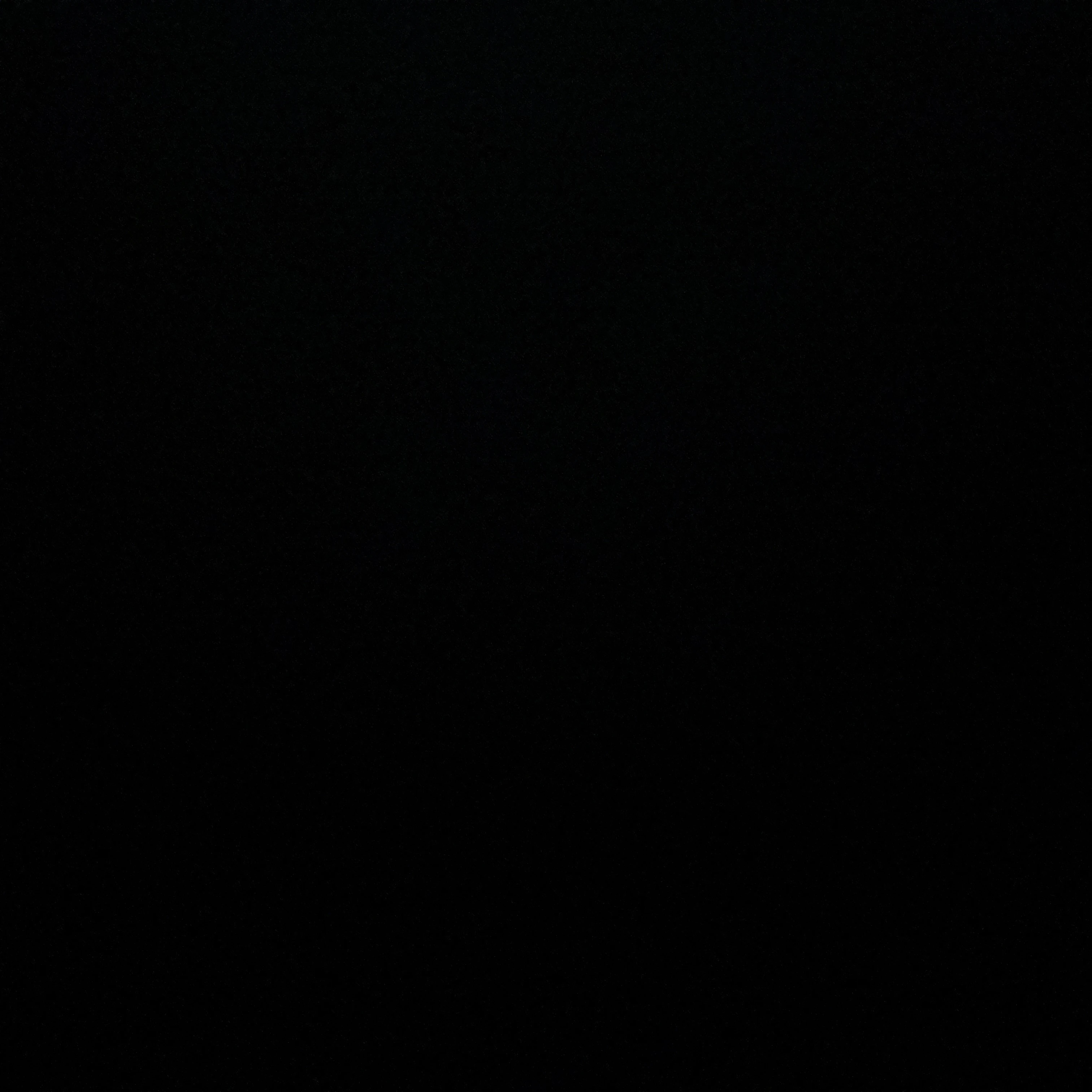 김동현