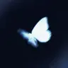 Profile image of 김광희