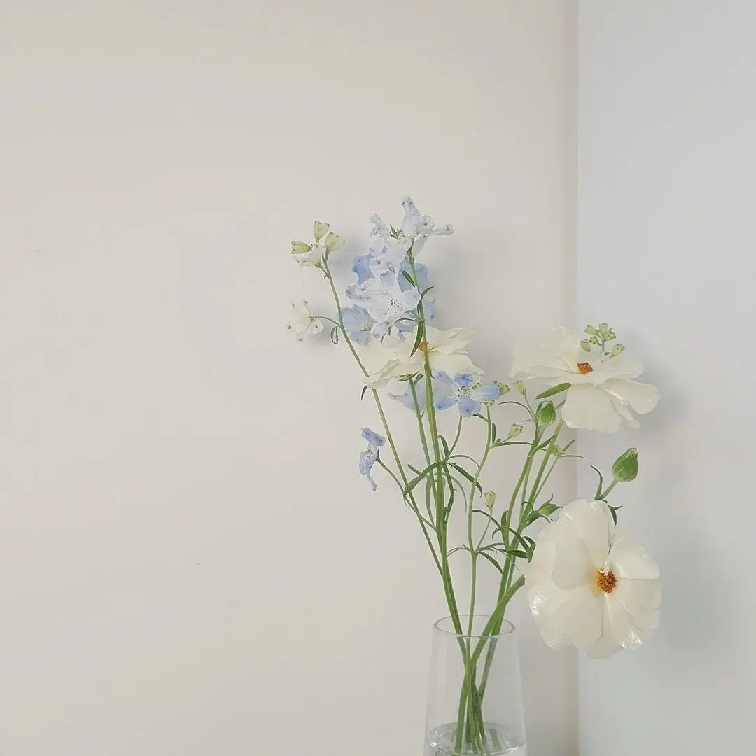 metronome_piano의 유기사