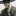 이상호