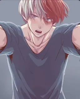 Profile image of Shoto Todoroki