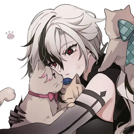 Arlecchino_love의 아를레키노