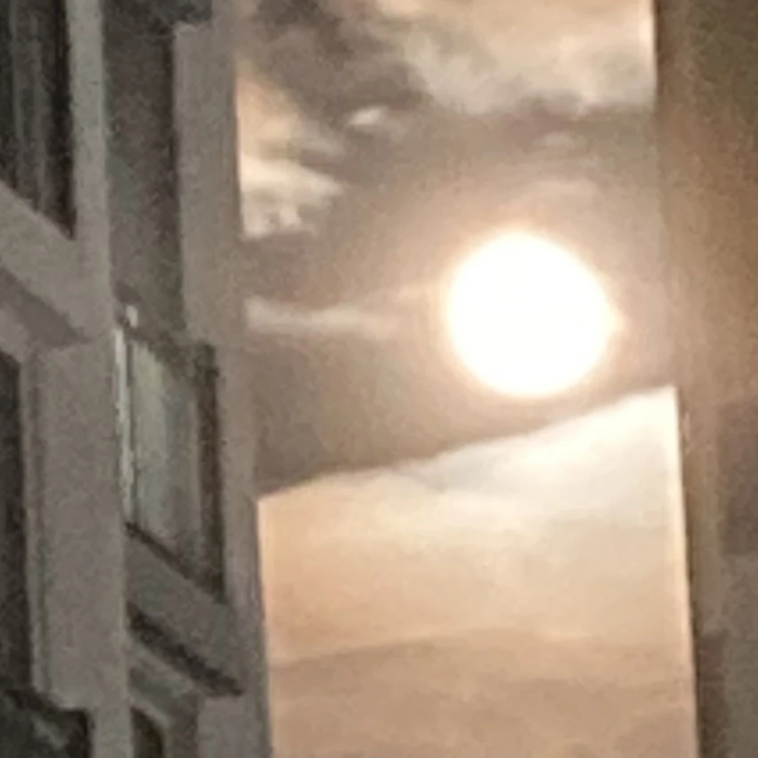유란