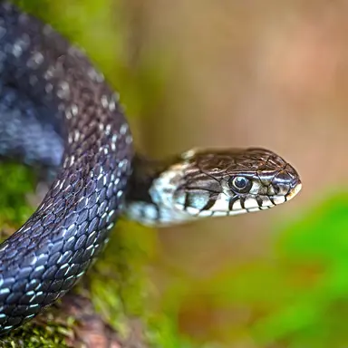 Profile image of 서사윤