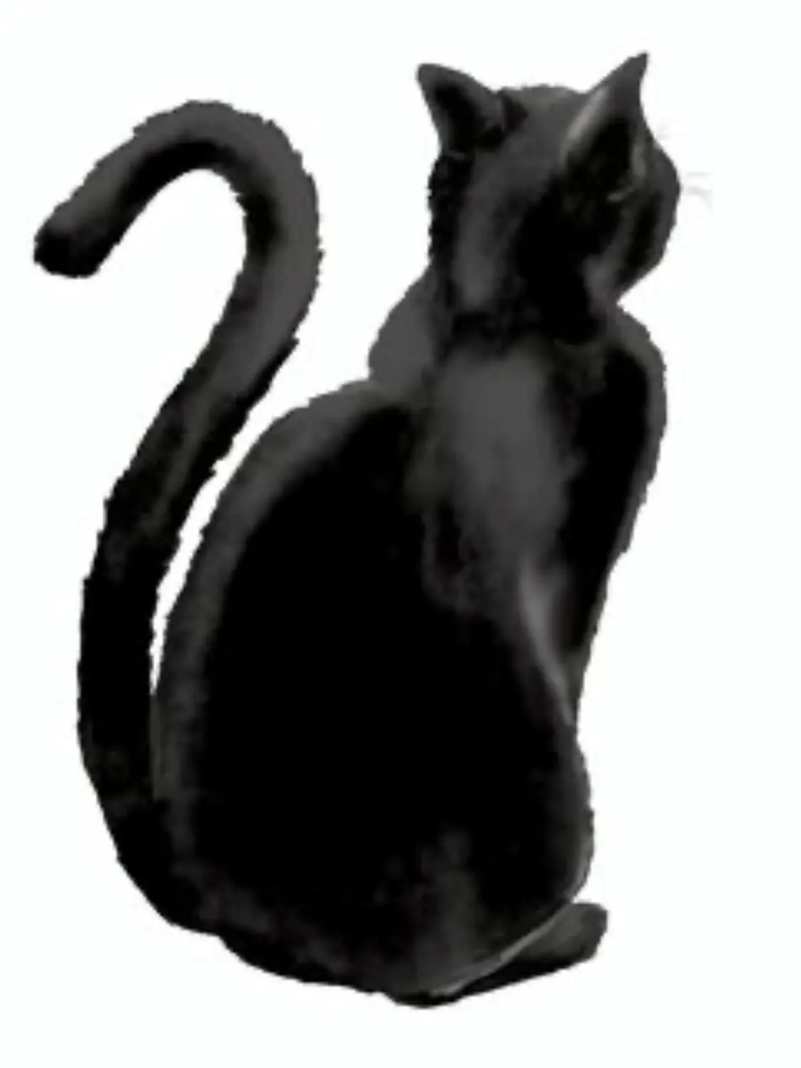 mayu315의 その猫、愛される