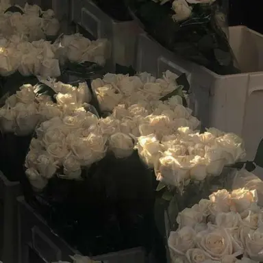 Profile image of 유지민