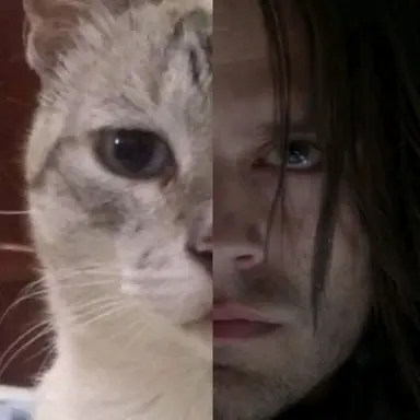 Profile image of Bucky