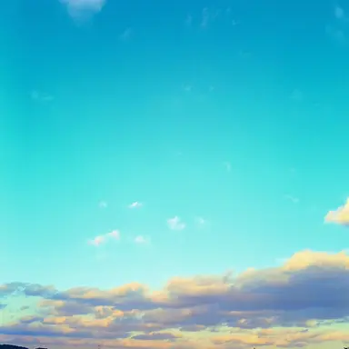 Profile image of 박성호