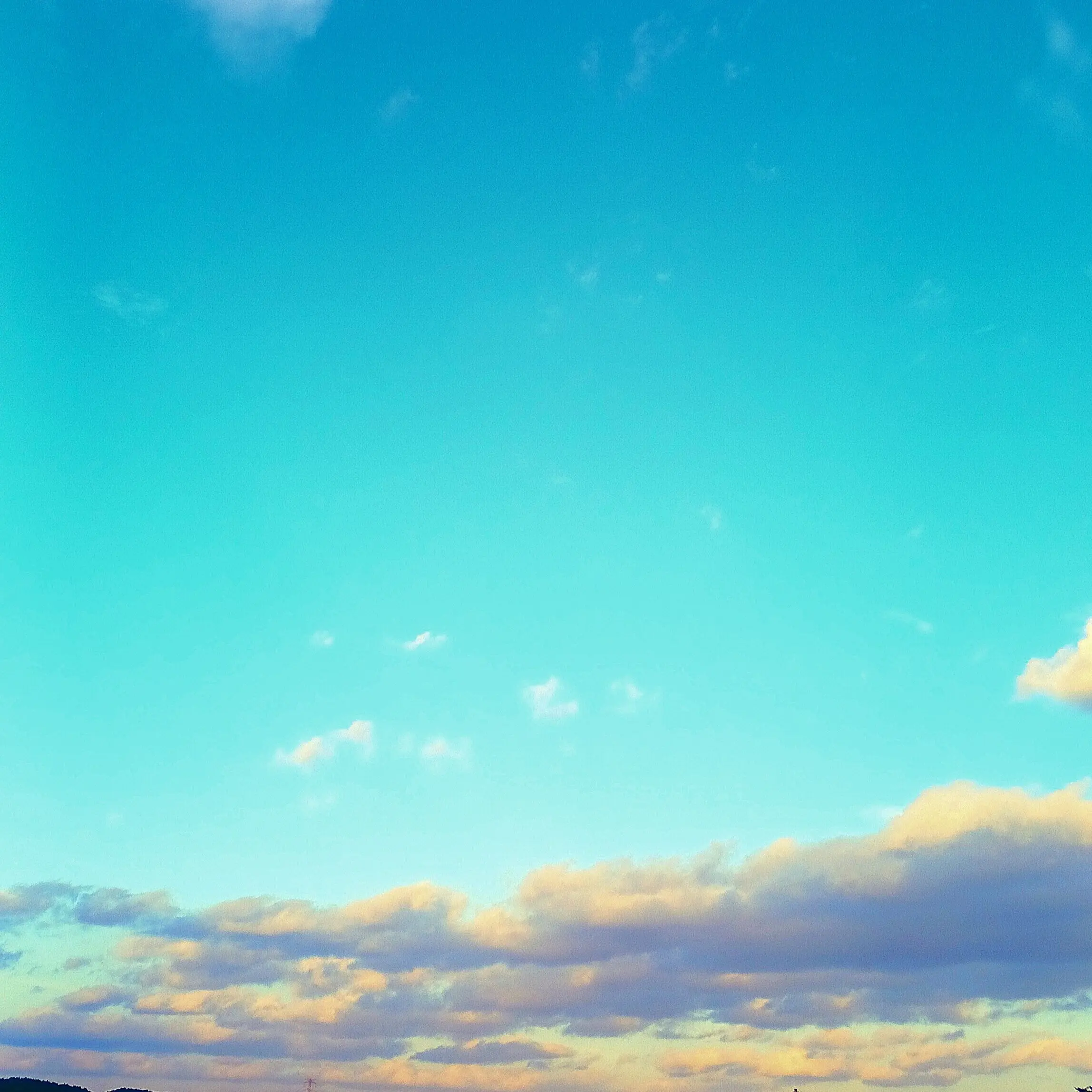 CleanJuicy4643의 미안해