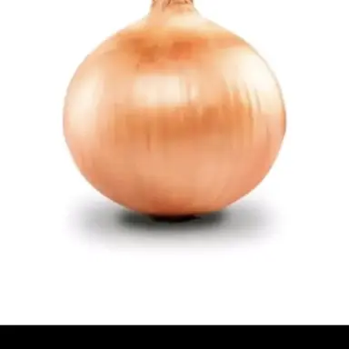 Profile image of 토토