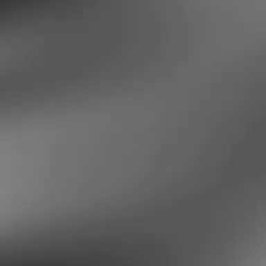 Profile image of 잭슨