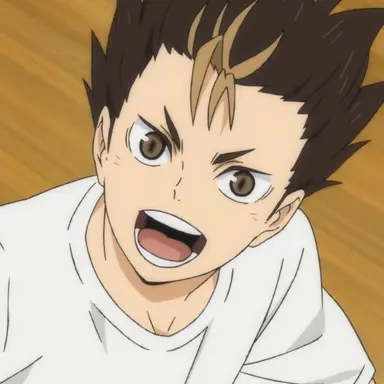 Profile image of Yu Nishinoya
