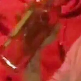 Profile image of 권지용