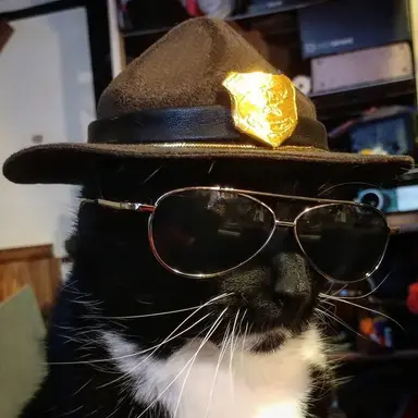 Profile image of Sheriff Deranos