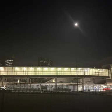 Profile image of 雄