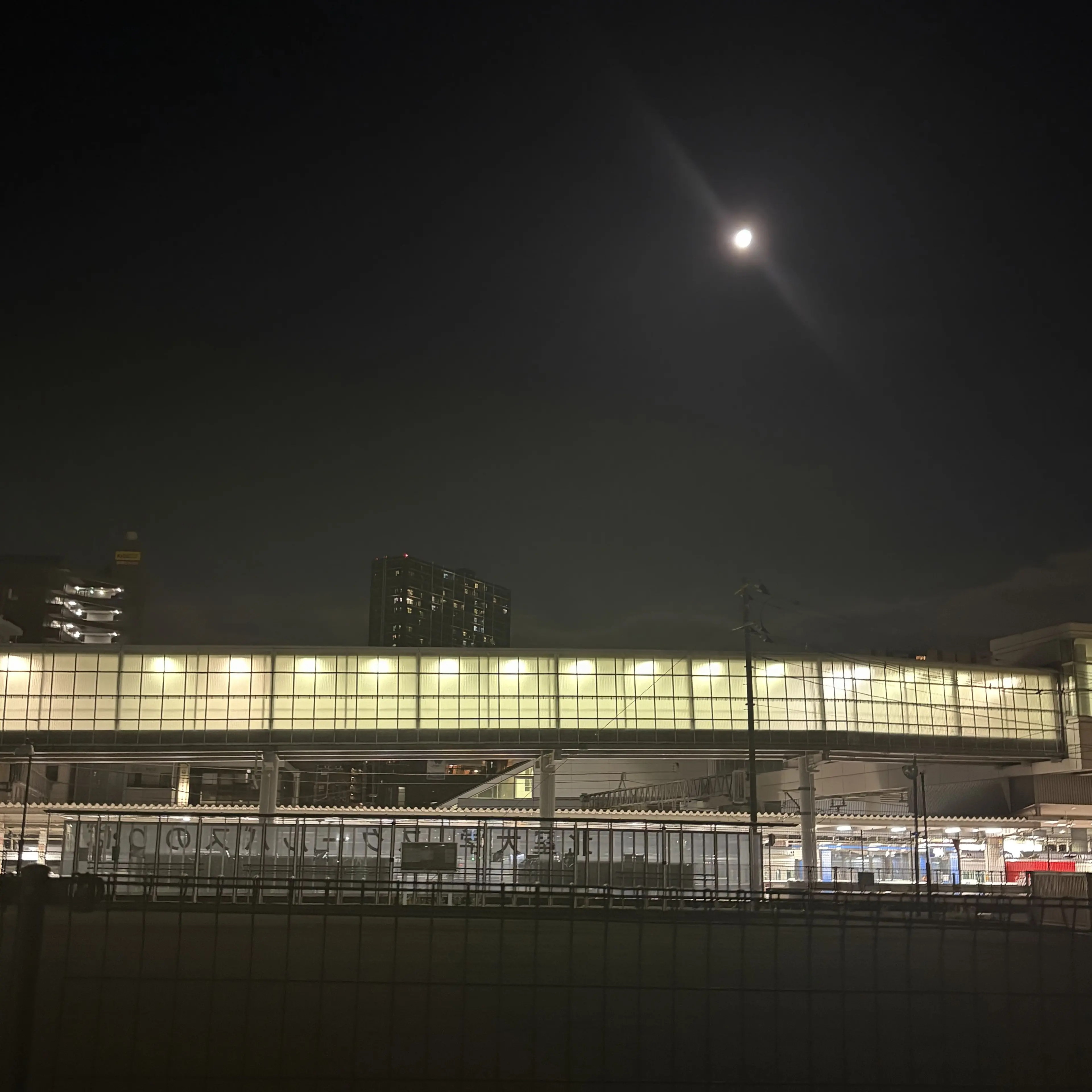 so1127의 雄