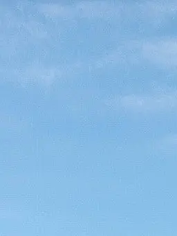 Mitarashidanngo의 墓場まで持っていこう！