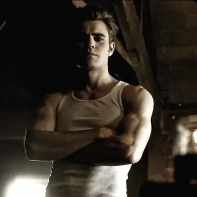 Profile image of Stefan Salvatore